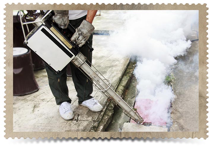 Pest Control via Chemical Fumigation in the Past